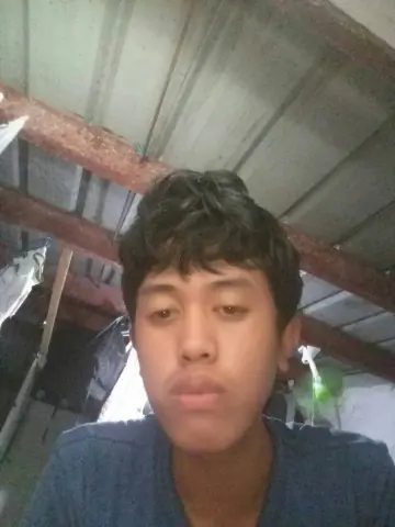 neil alire