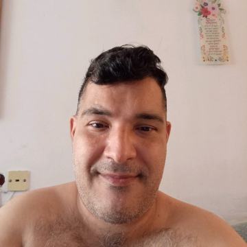 אילן שמש