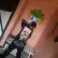 Nigeria member